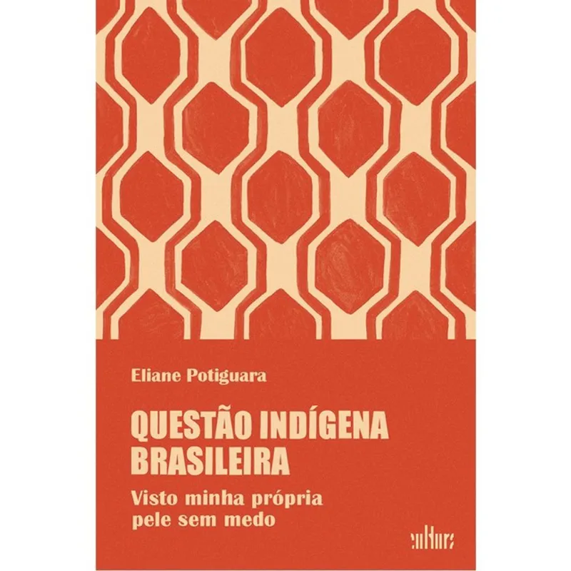 QUESTÃO INDÍGENA BRASILEIRA