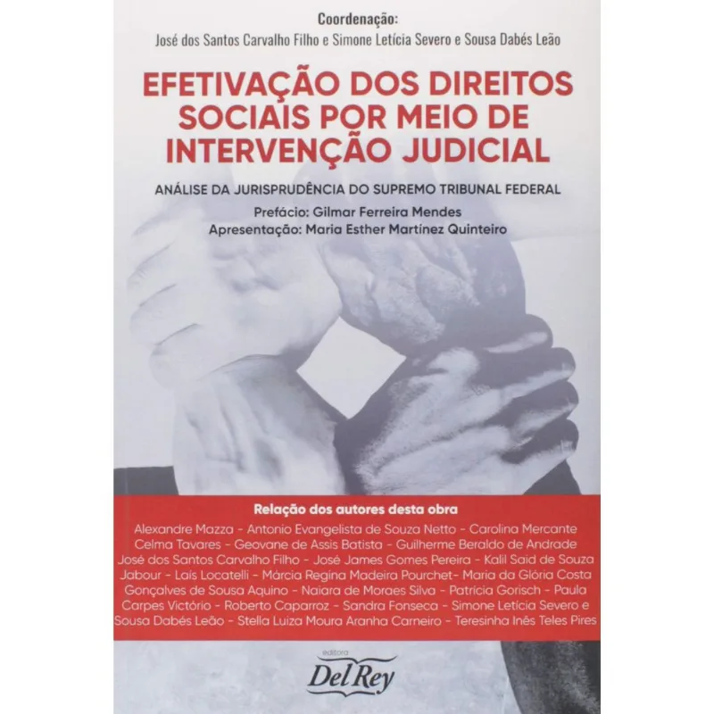 EFETIVAÇÃO DOS DIREITOS SOCIAIS POR MEIO DE INTERVENÇÃO JUDICIAL