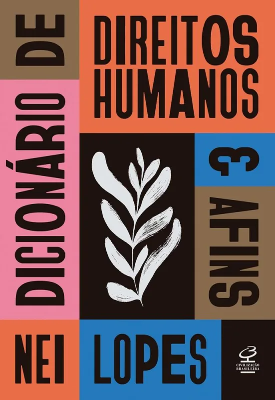 Dicionário De Direitos Humanos E Afins - LC - Livros