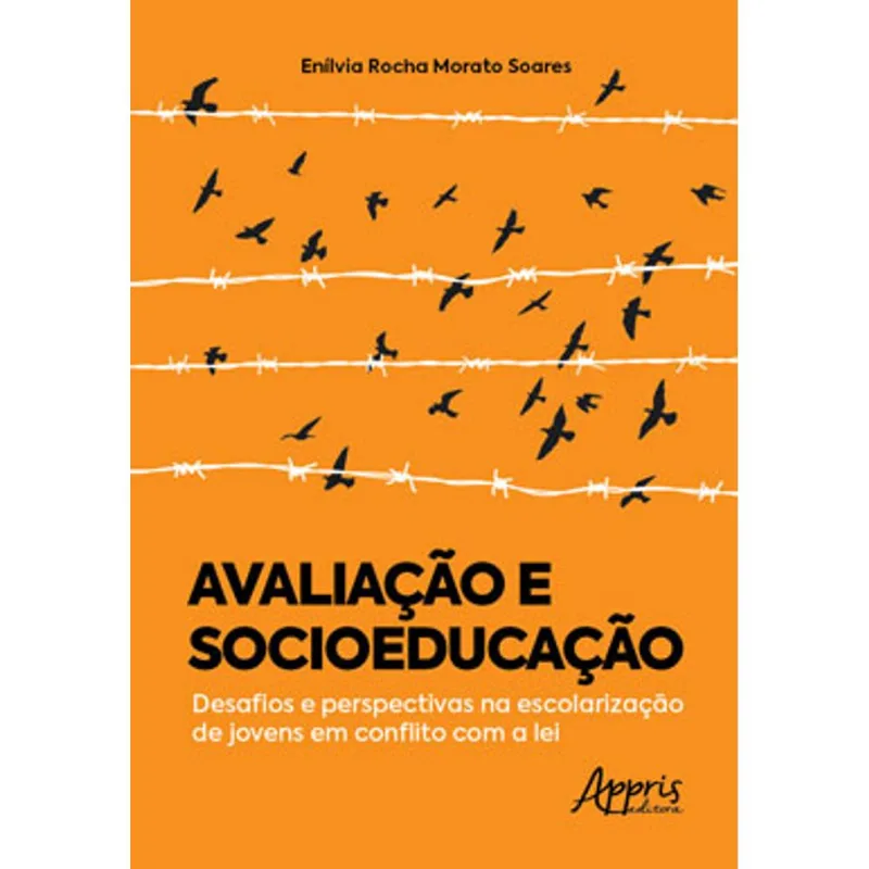 AVALIAÇÃO E SOCIOEDUCAÇÃO: DESAFIOS E PERSPECTIVAS NA ESCOLARIZAÇÃO DE JOVENS EM CONFLITO COM A LEI
