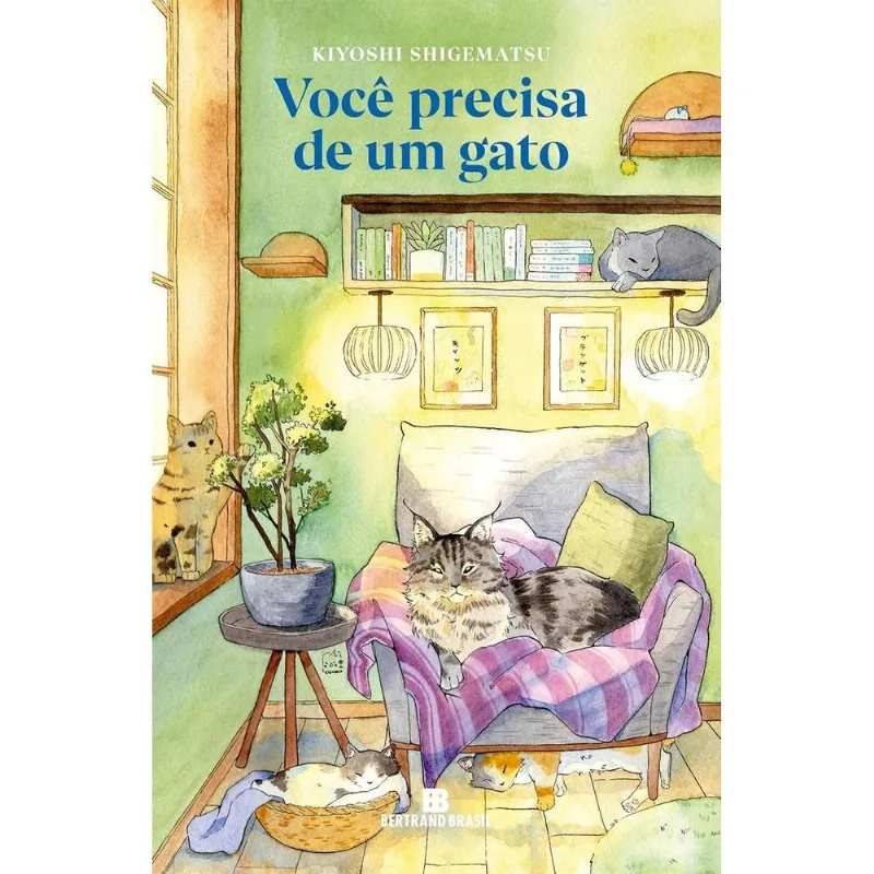 Você Precisa De Um Gato