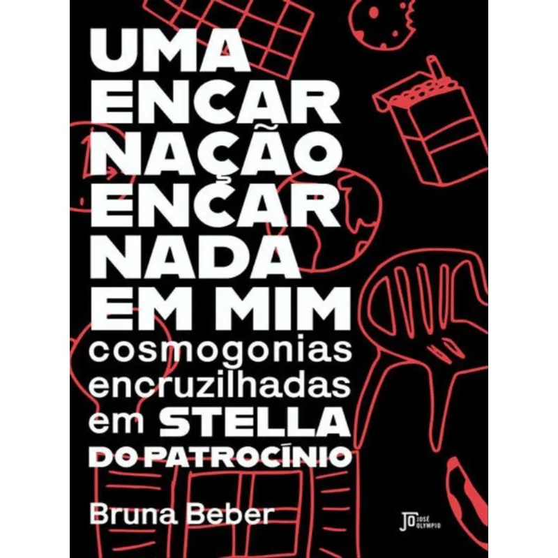 UMA ENCARNAÇÃO ENCARNADA EM MIM