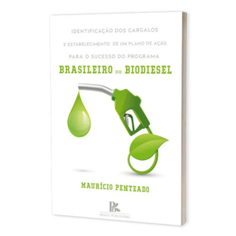 IDENTIFICAÇÃO DOS GARGALOS E ESTABELECIMENTO DE UM PLANO DE AÇÃO PARA O SUCESSO DO PROGRAMA BRASILEI