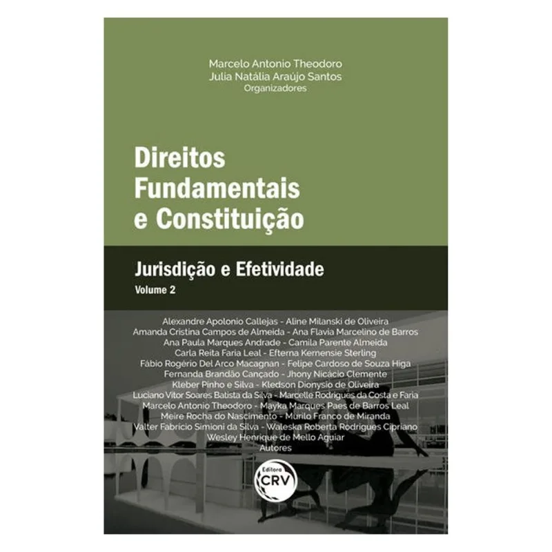 DIREITOS FUNDAMENTAIS E CONSTITUIÇÃO: