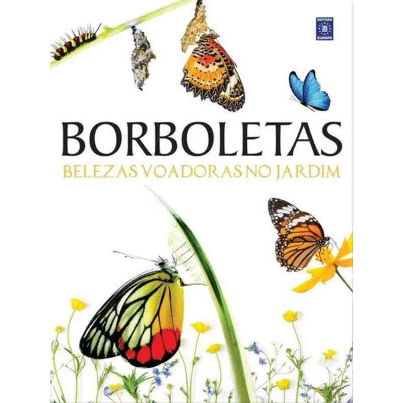 BORBOLETAS - BELEZAS VOADORAS NO JARDIM