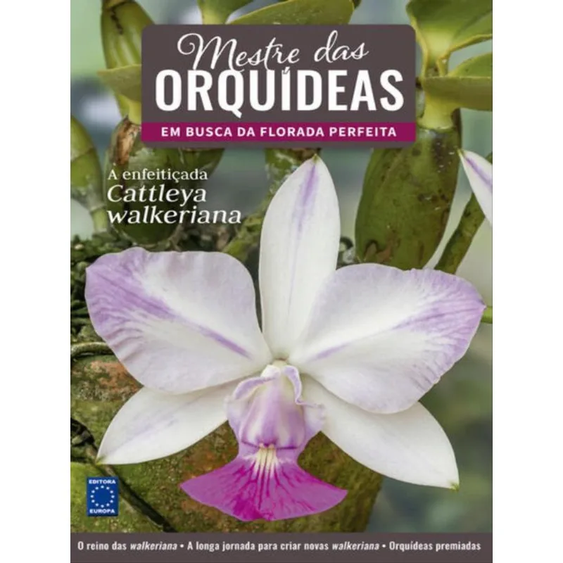 MESTRE DAS ORQUÍDEAS - VOLUME 15: A ENFEITIÇADA CATTLEYA WALKERIANA