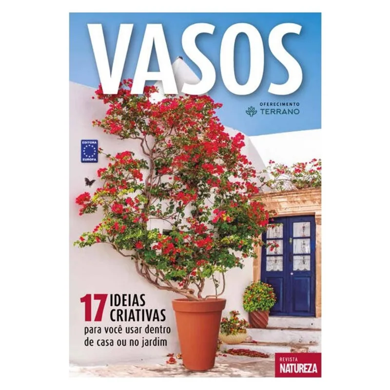 VASOS - 17 IDEIAS CRIATIVAS