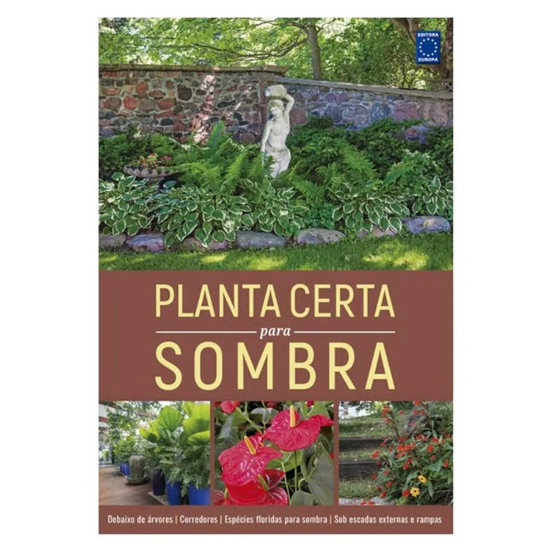 PLANTA CERTA PARA SOMBRA