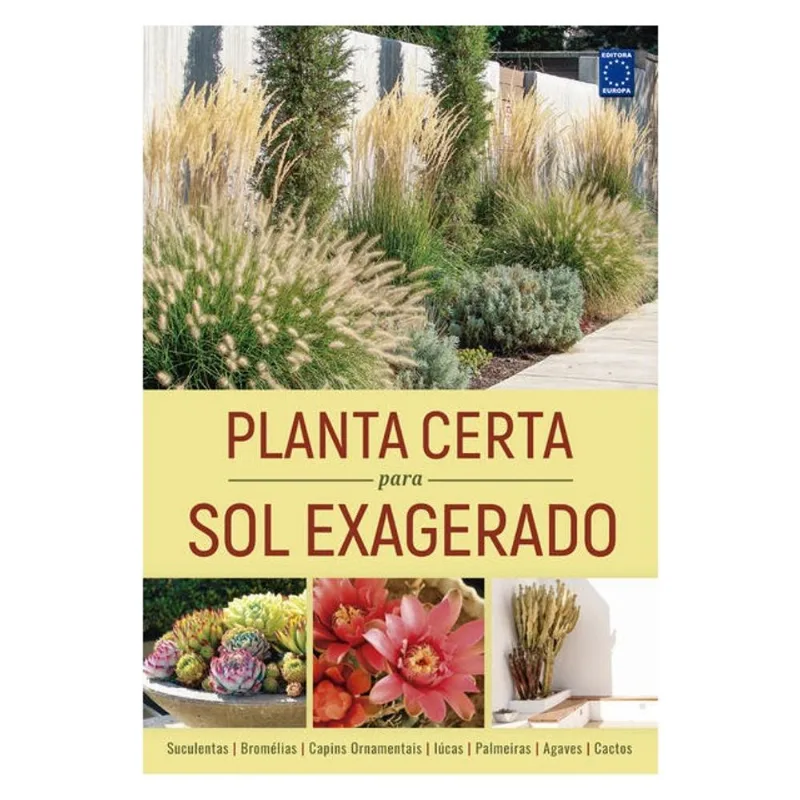 PLANTA CERTA PARA SOL EXAGERADO