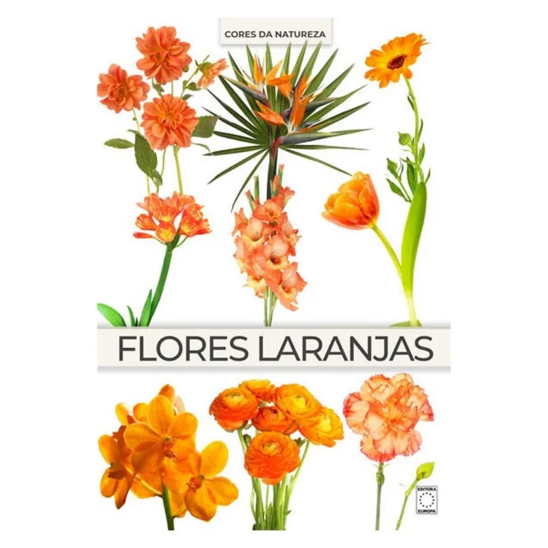 COLEÇÃO CORES DA NATUREZA - FLORES LARANJAS