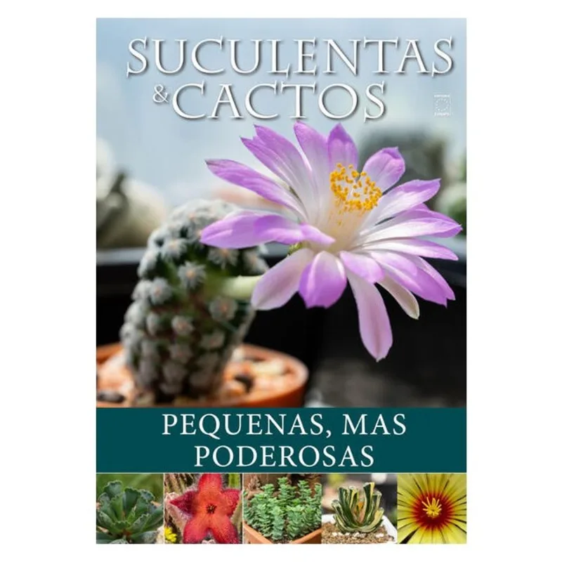 SUCULENTAS E CACTOS: PEQUENAS, MAS PODEROSAS