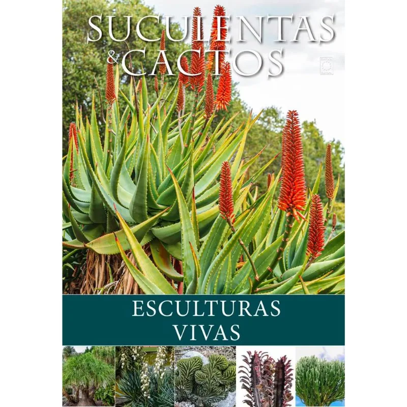 Suculentas E Cactos: Esculturas Vivas