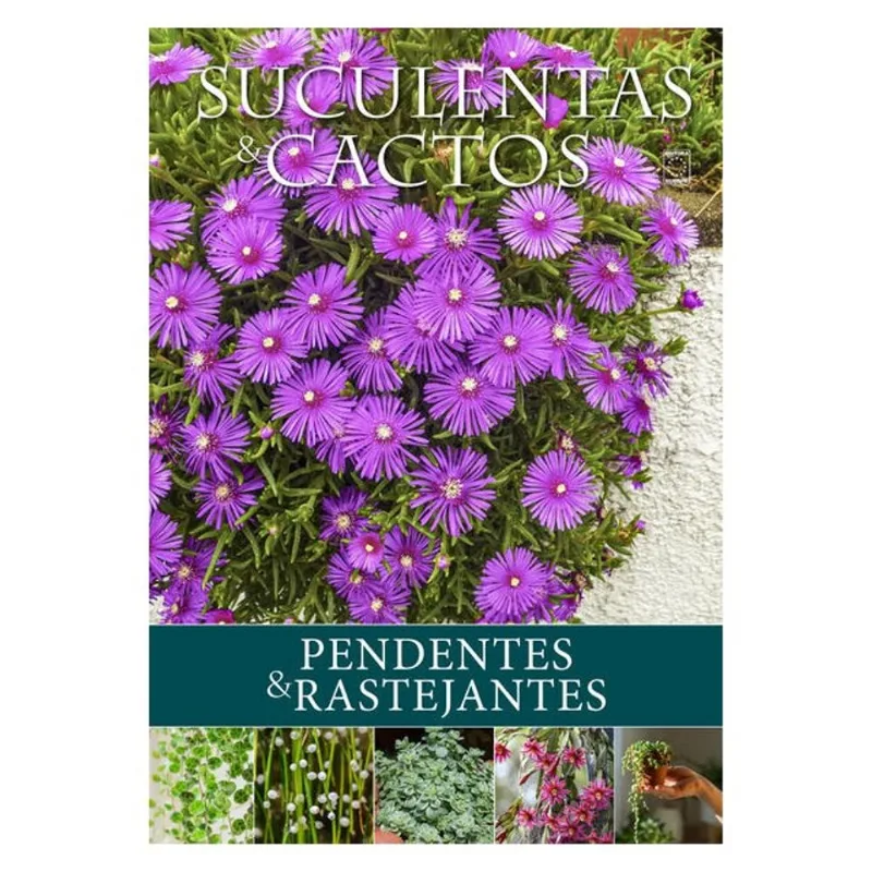 SUCULENTAS E CACTOS: PENDENTES & RASTEJANTES