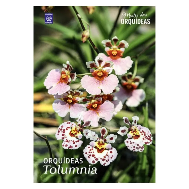 ORQUÍDEAS TOLUMNIA - MESTRE DAS ORQUÍDEAS - VOLUME 31