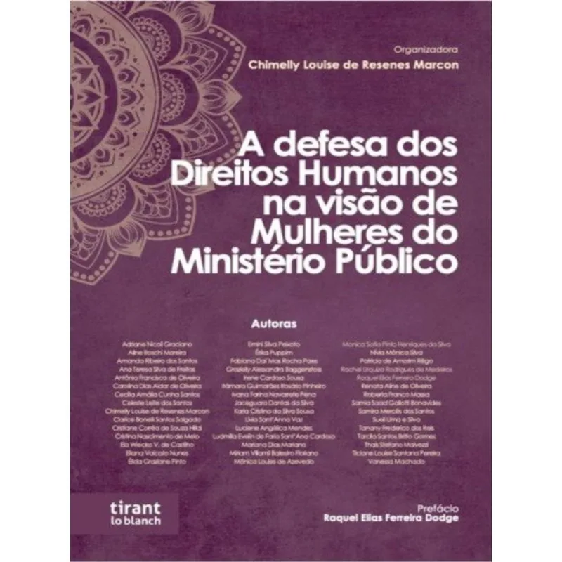 A DEFESA DOS DIREITOS HUMANOS NA VISÃO DE MULHERES DO MINISTÉRIO PÚBLICO - 2022