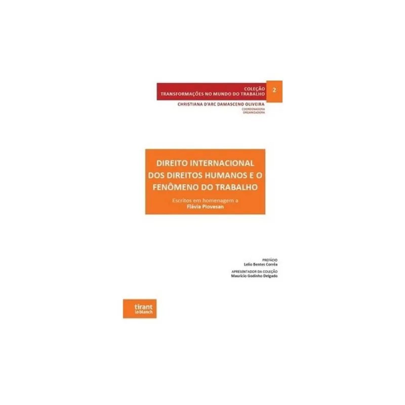 DIREITO INTERNACIONAL DOS DIREITOS HUMANOS E O FENÔMENO DO TRABALHO - 2024 - VOL. 2