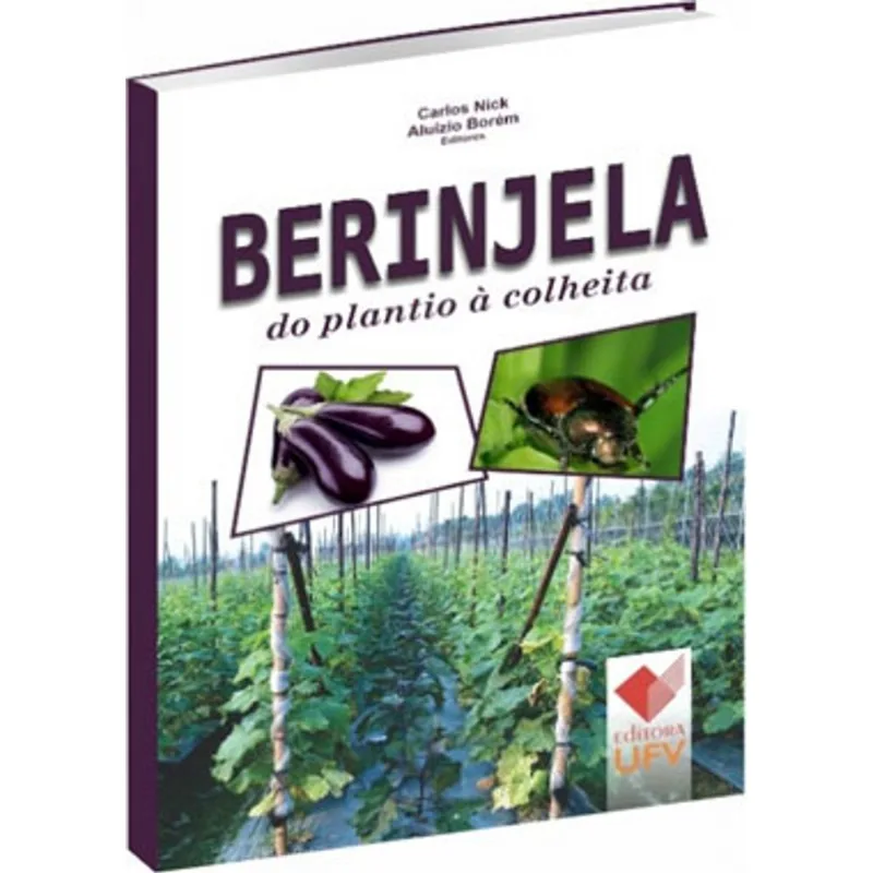 BERINJELA - DO PLANTIO À COLHEITA