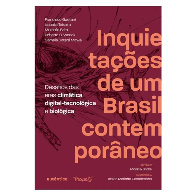 INQUIETAÇÕES DE UM BRASIL CONTEMPORÂNEO