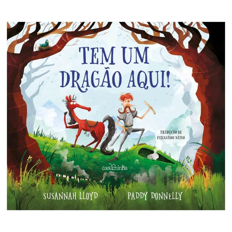 LIVRO TEM UM DRAGÃO AQUI! (MP) - CAROCHINHA