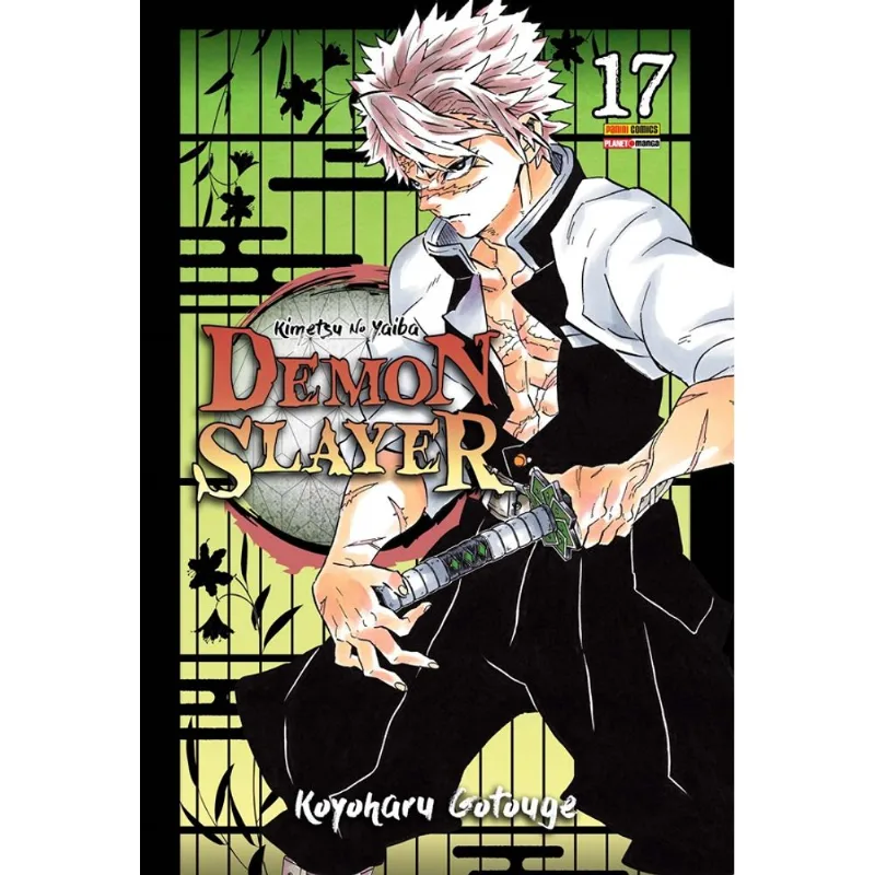 Demon Slayer - Kimetsu No Yaiba 17