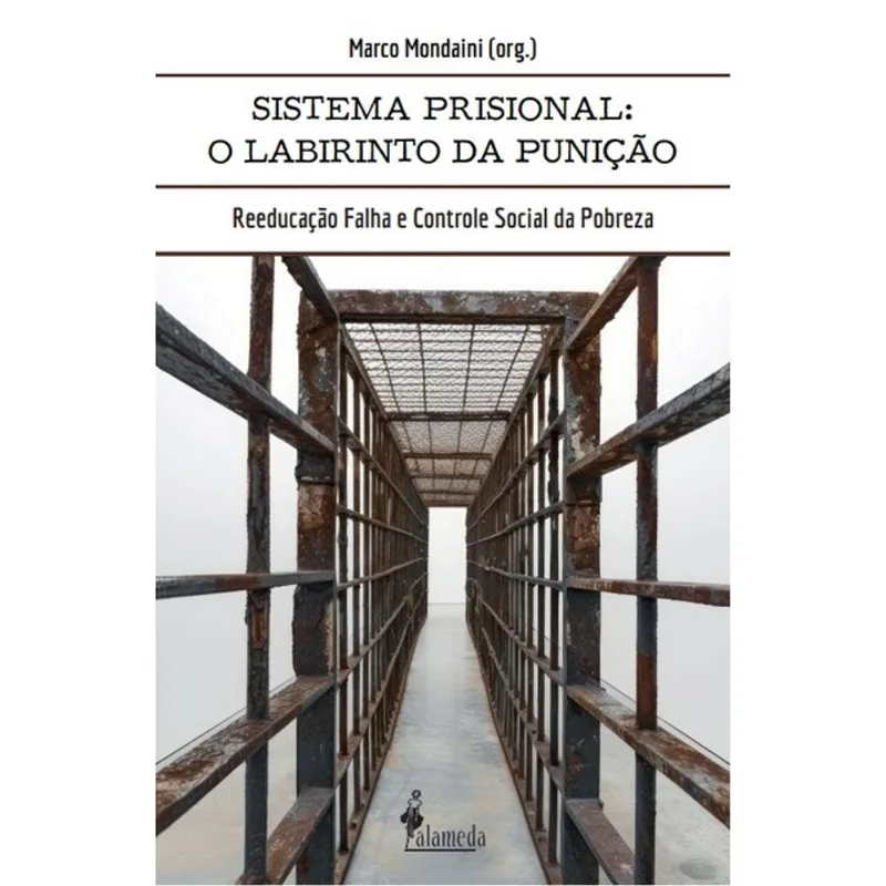 O SISTEMA PRISIONAL: O LABIRINTO DA PUNIÇÃO