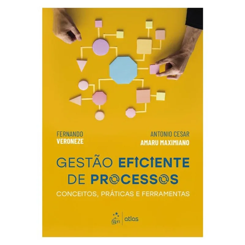 GESTÃO EFICIENTE DE PROCESSOS