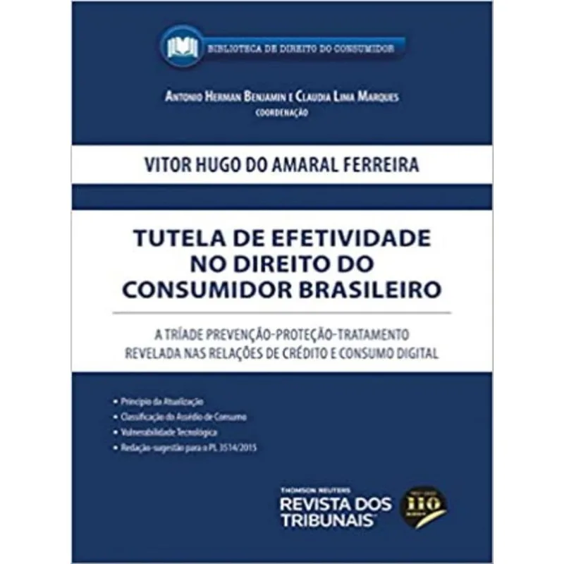 TUTELA DE EFETIVIDADE NO DIREITO DO CONSUMIDOR BRASILEIRO - 2022