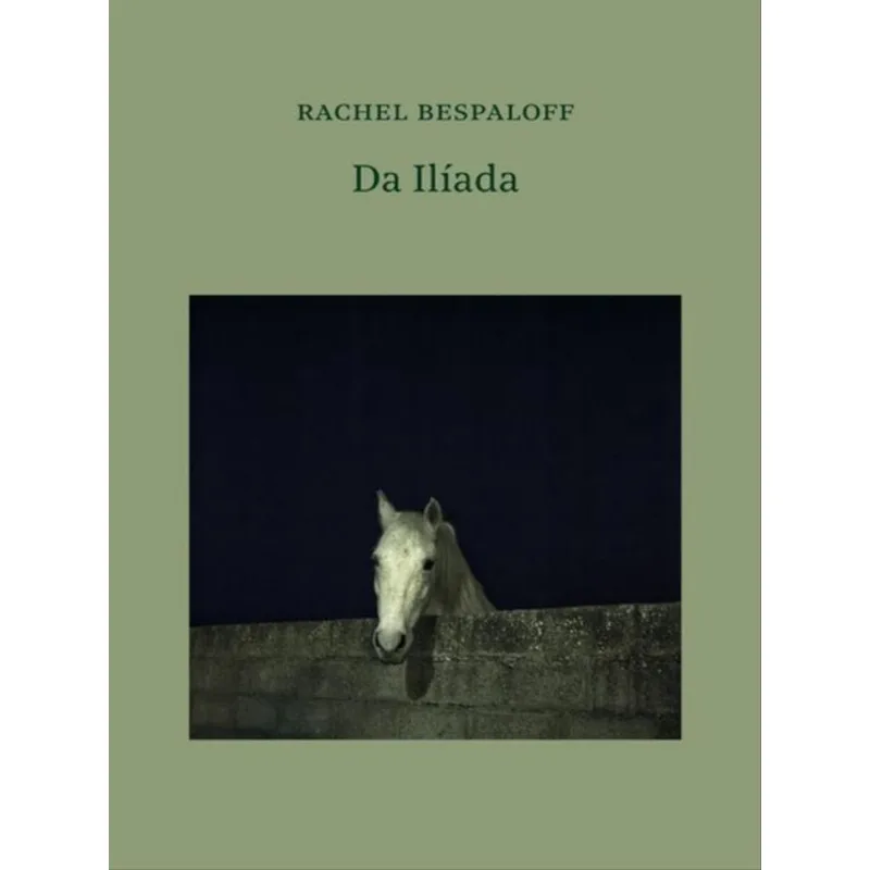 DA ILÍADA