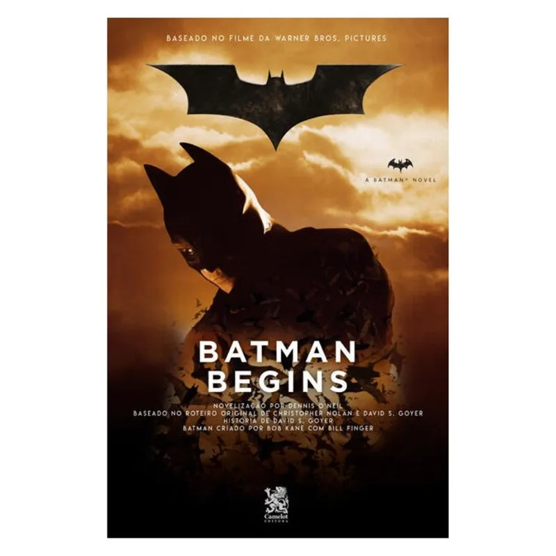 BATMAN BEGINS
