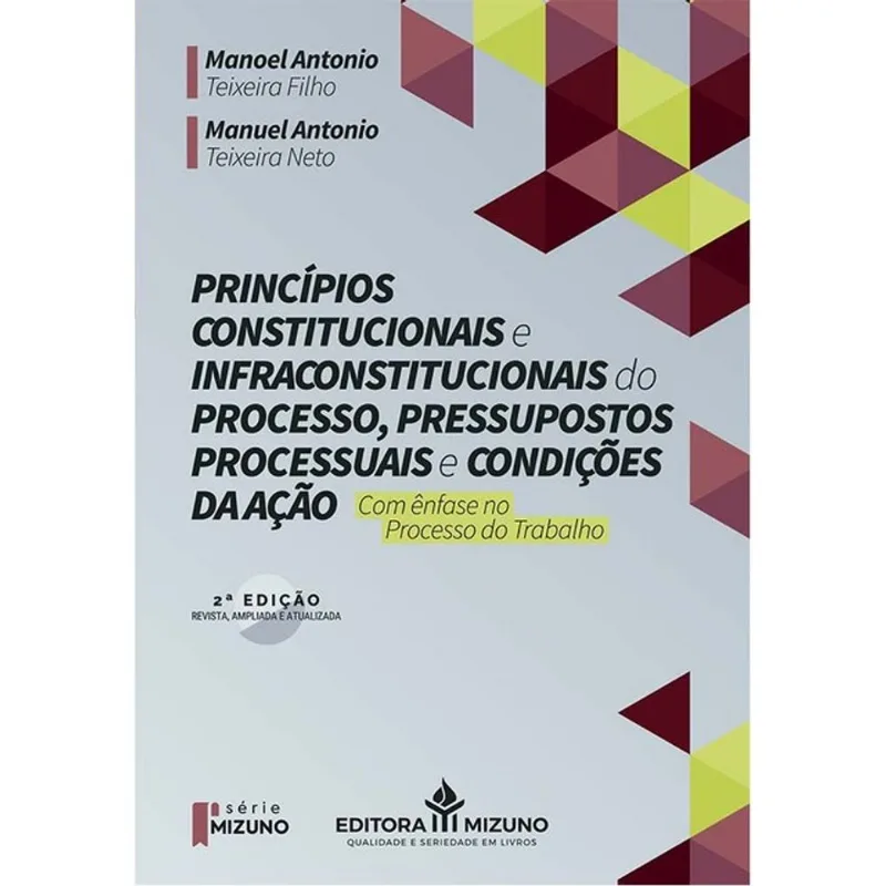 PRINCÍPIOS CONSTITUCIONAL E INFRACIONAIS DO PROCESSO
