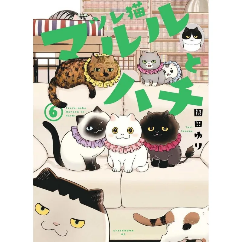 Maruru E Hachi: Os Gatinhos Companheiros 6