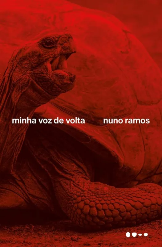 Minha Voz De Volta - LC - Livros