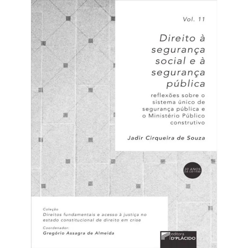 DIREITO A SEGURANÇA SOCIAL E A SEGURANÇA PÚBLICA