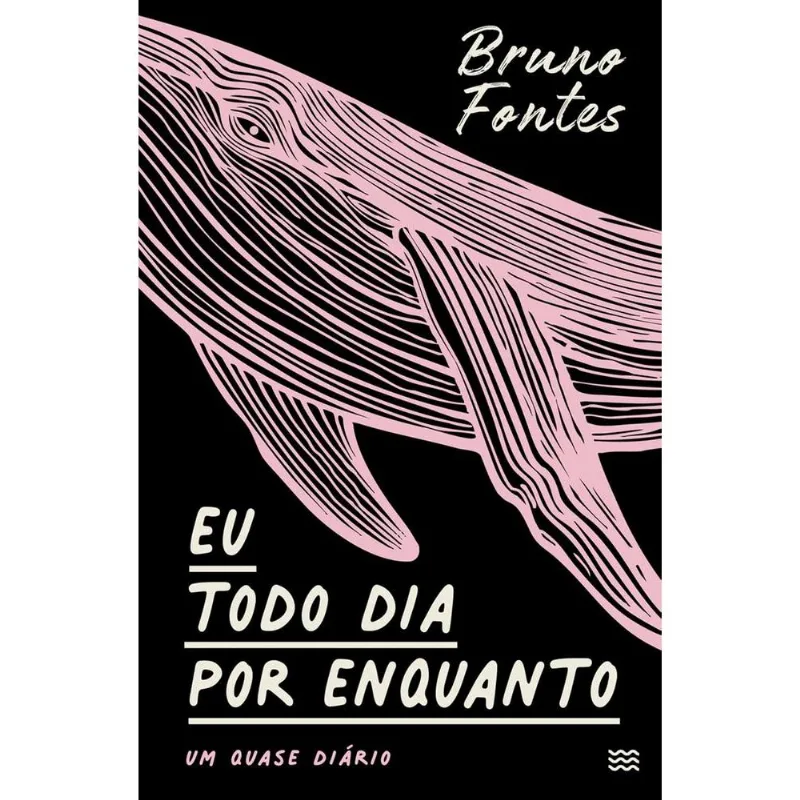 Eu Todo Dia Por Enquanto, Um Quase Diário