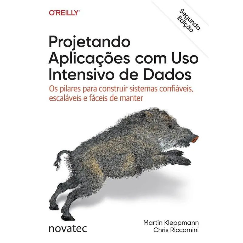 Projetando Aplicações Com Uso Intensivo De Dados