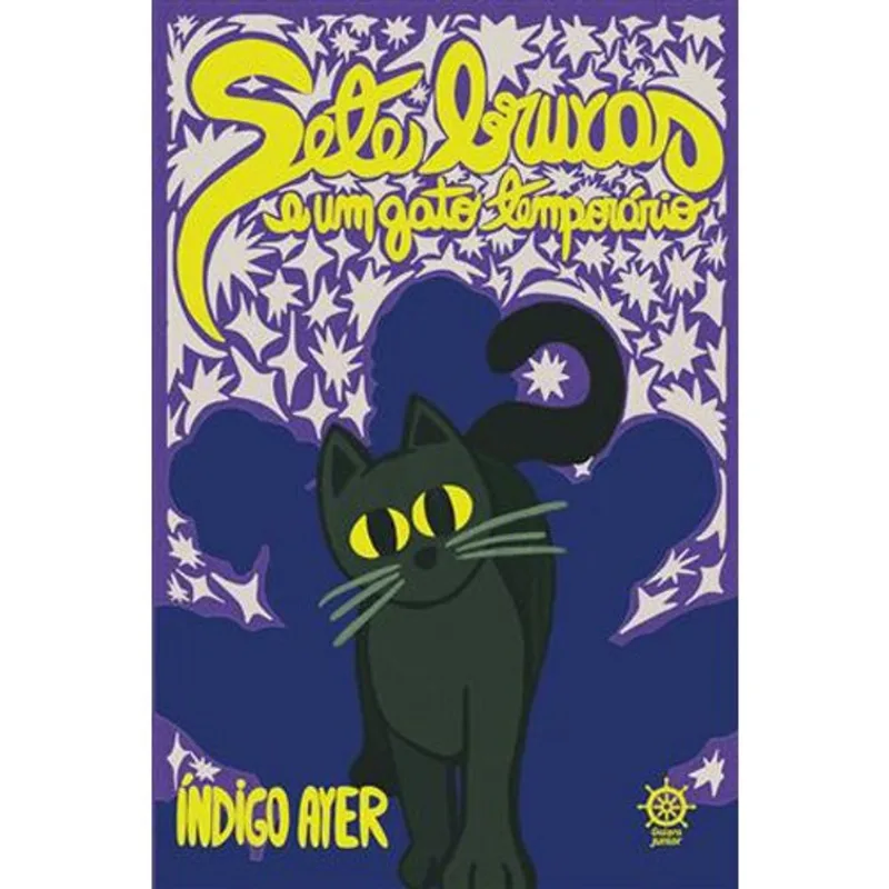 Livro Sete Bruxas E Um Gato Temporário Record (MP)
