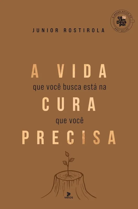 A Vida Que Você Busca Está Na Cura Que Você Precisa - LC - Livros