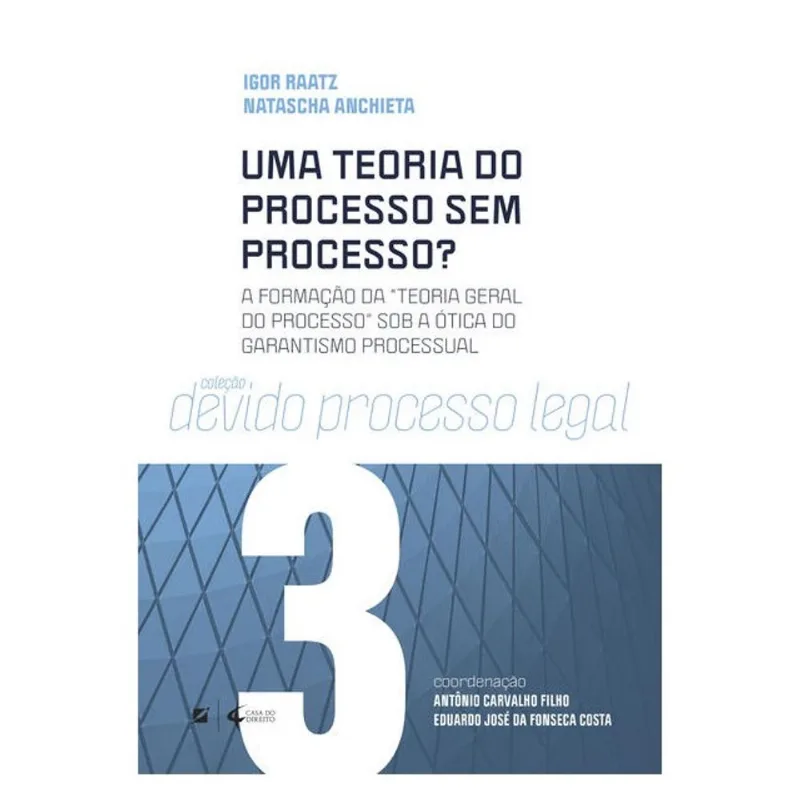 UMA TEORIA DO PROCESSO SEM PROCESSO?