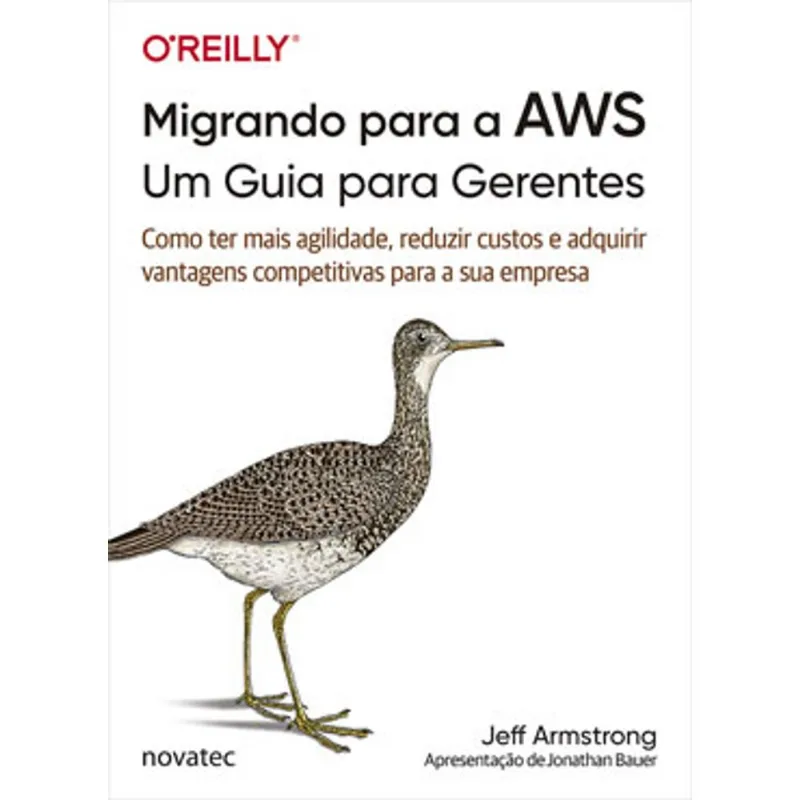 MIGRANDO PARA A AWS - UM GUIA PARA GERENTES