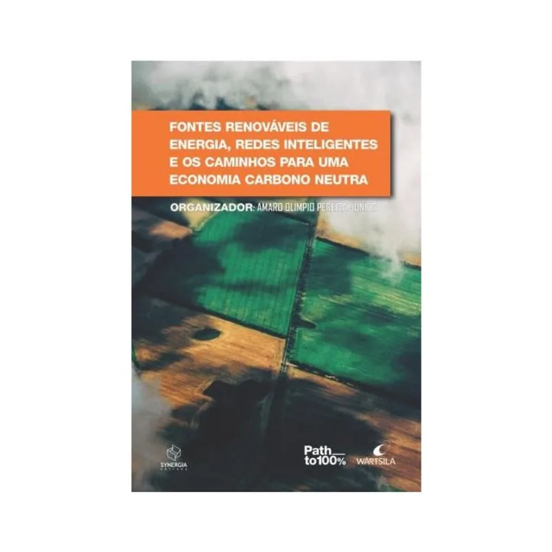 FONTES RENOVÁVEIS DE ENERGIA, REDES INTELIGENTES E OS CAMINHOS PARA UMA ECONOMIA CARBONO NEUTRA