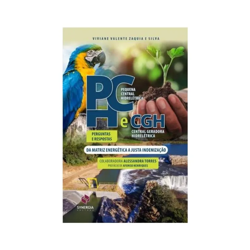 PCH E CGH: PERGUNTAS E RESPOSTAS
