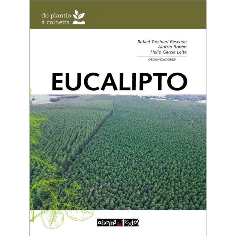 EUCALIPTO