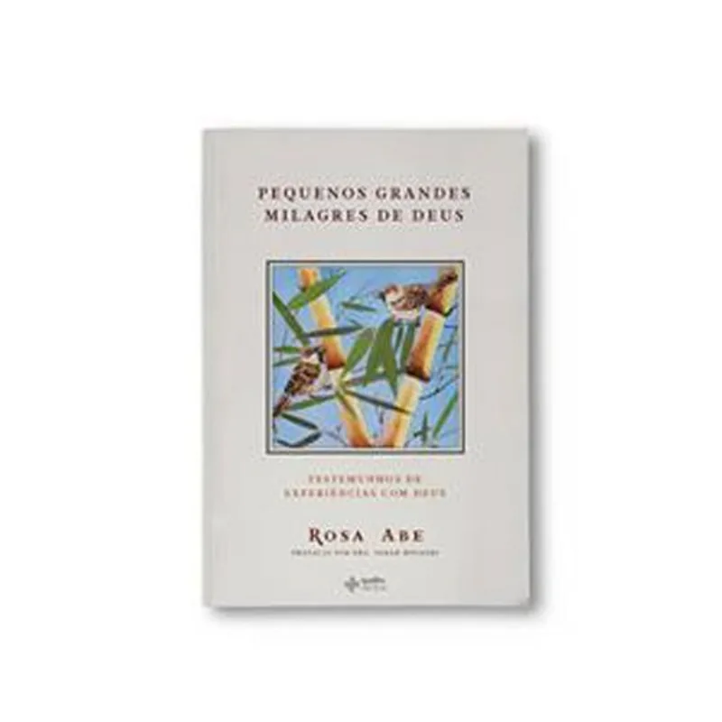 Livro Pequenos Grandes Milagres De Deus Quatro Ventos (MP)
