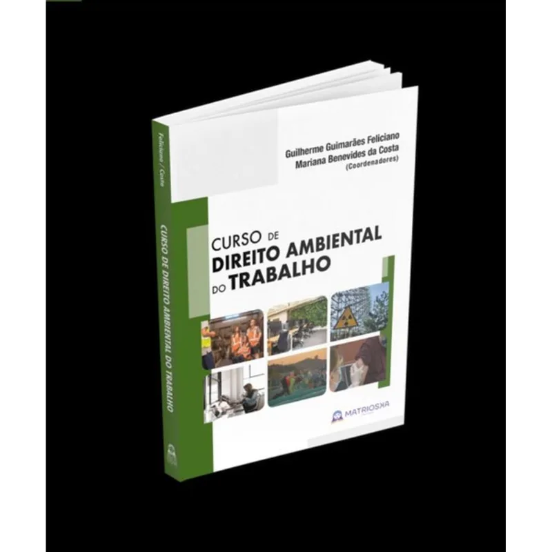 CURSO DE DIREITO AMBIENTAL DO TRABALHO