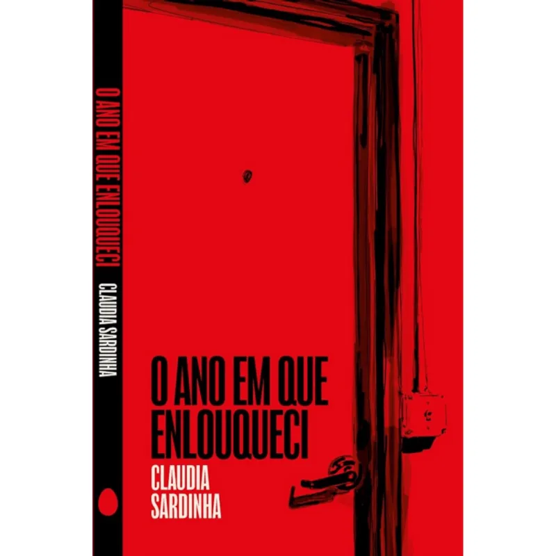 O Ano em Que Enlouqueci