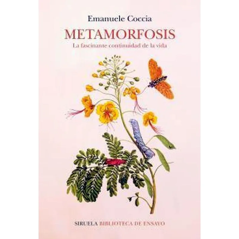 METAMORFOSIS