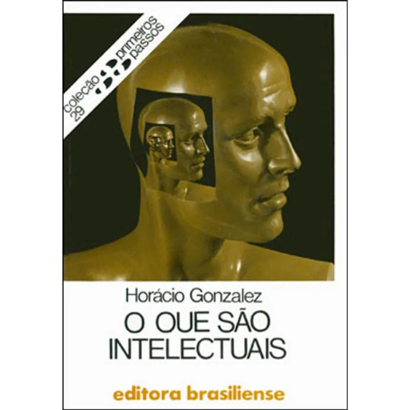 O QUE SÃO INTELECTUAIS