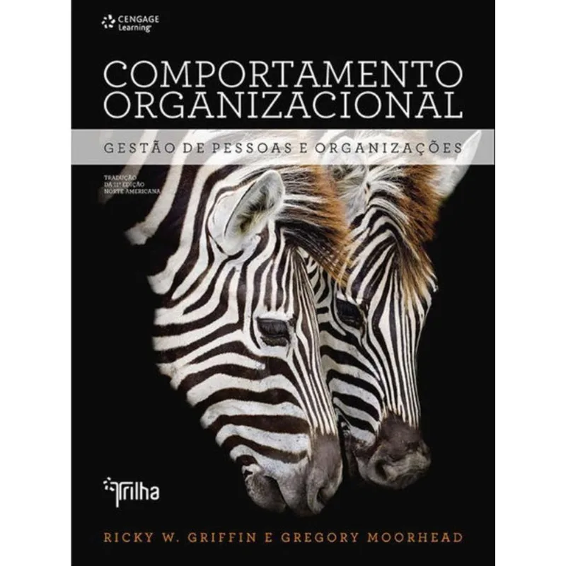 COMPORTAMENTO ORGANIZACIONAL