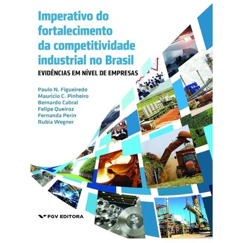 IMPERATIVO DO FORTALECIMENTO DA COMPETIVIDADE INDUSTRIAL NO BRASIL - EVIDENCIAS EM NIVEL DE EMPRESAS