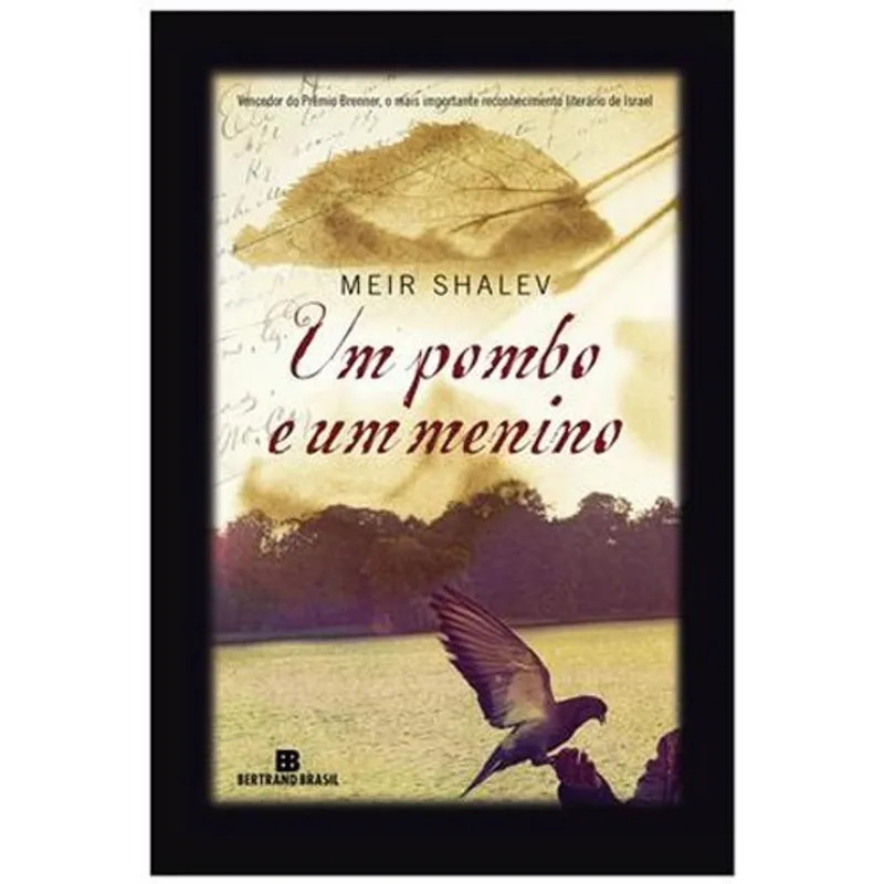 Livro Um Pombo E Um Menino Bertrand Brasil (MP)